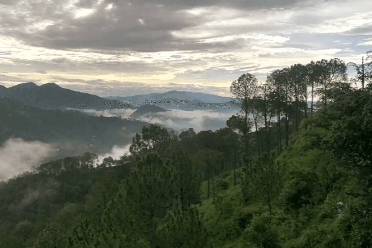 Spacious Homestay w/ Valley View, HP - Jabal, HP photo 4