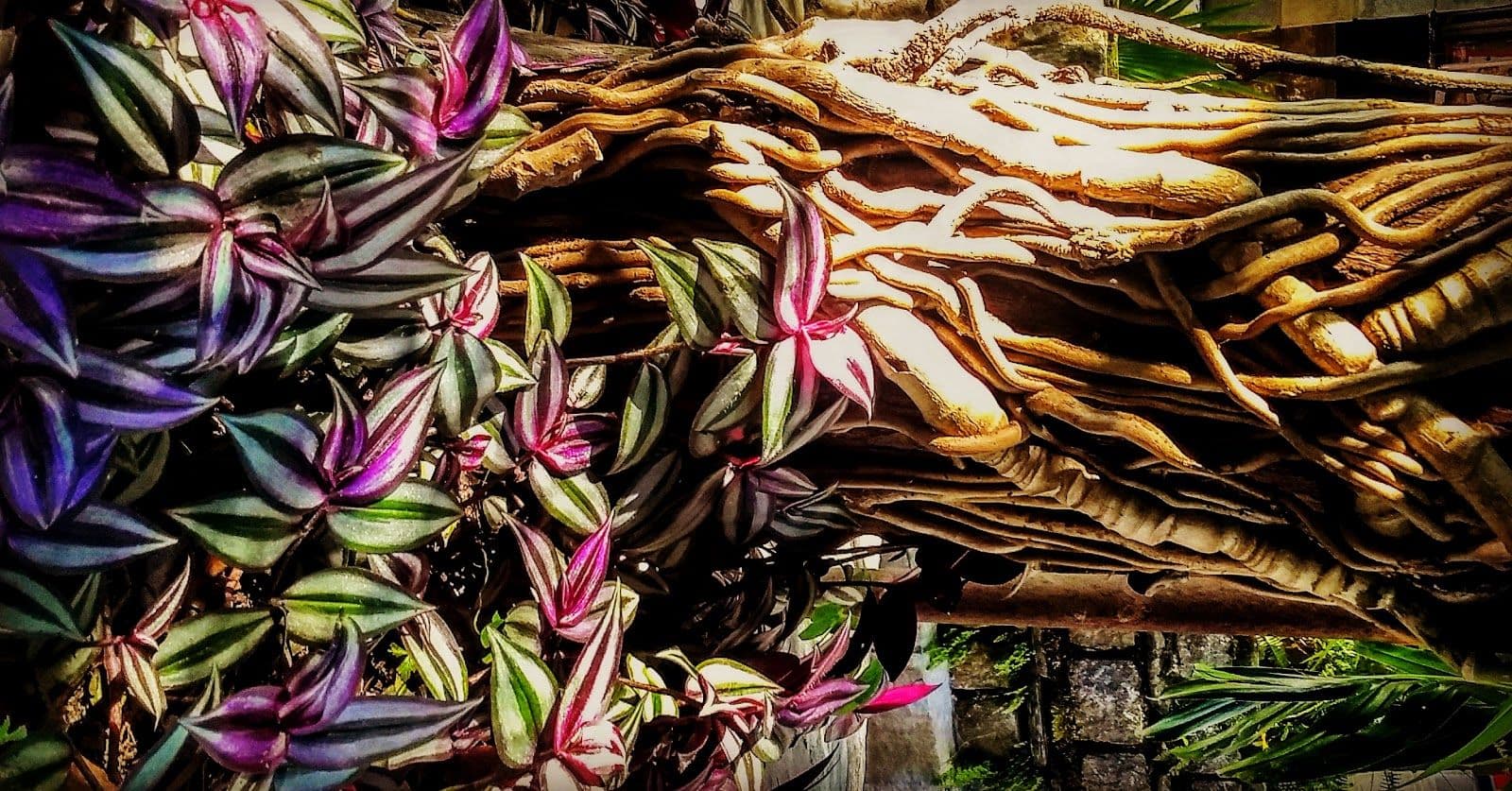 Riverside Homestay w/ Bonfires & Trails, HP in Dharamshala, HP 8