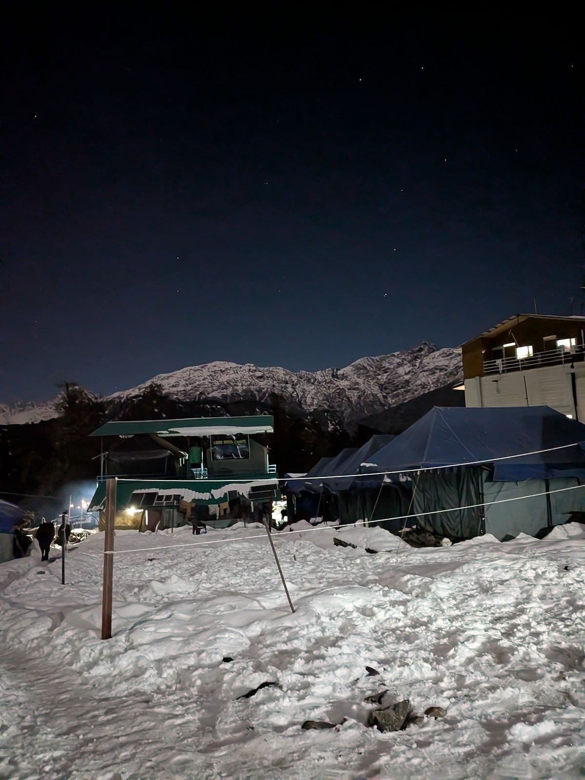 Mountain View Camp w/ All Meals, Uttarakhand in Chopta, Uttarakhand 5