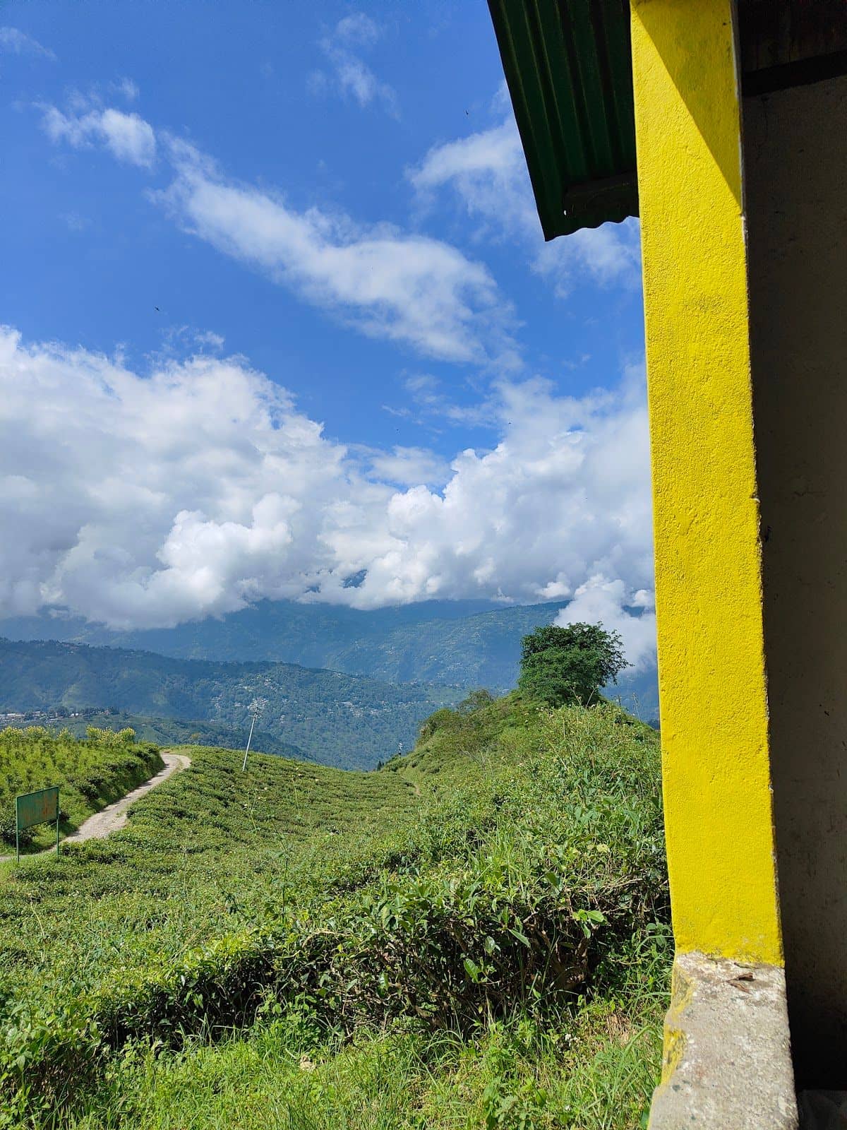 Offbeat Darjeeling Escape for Nature Lovers - Darjeeling photo 5