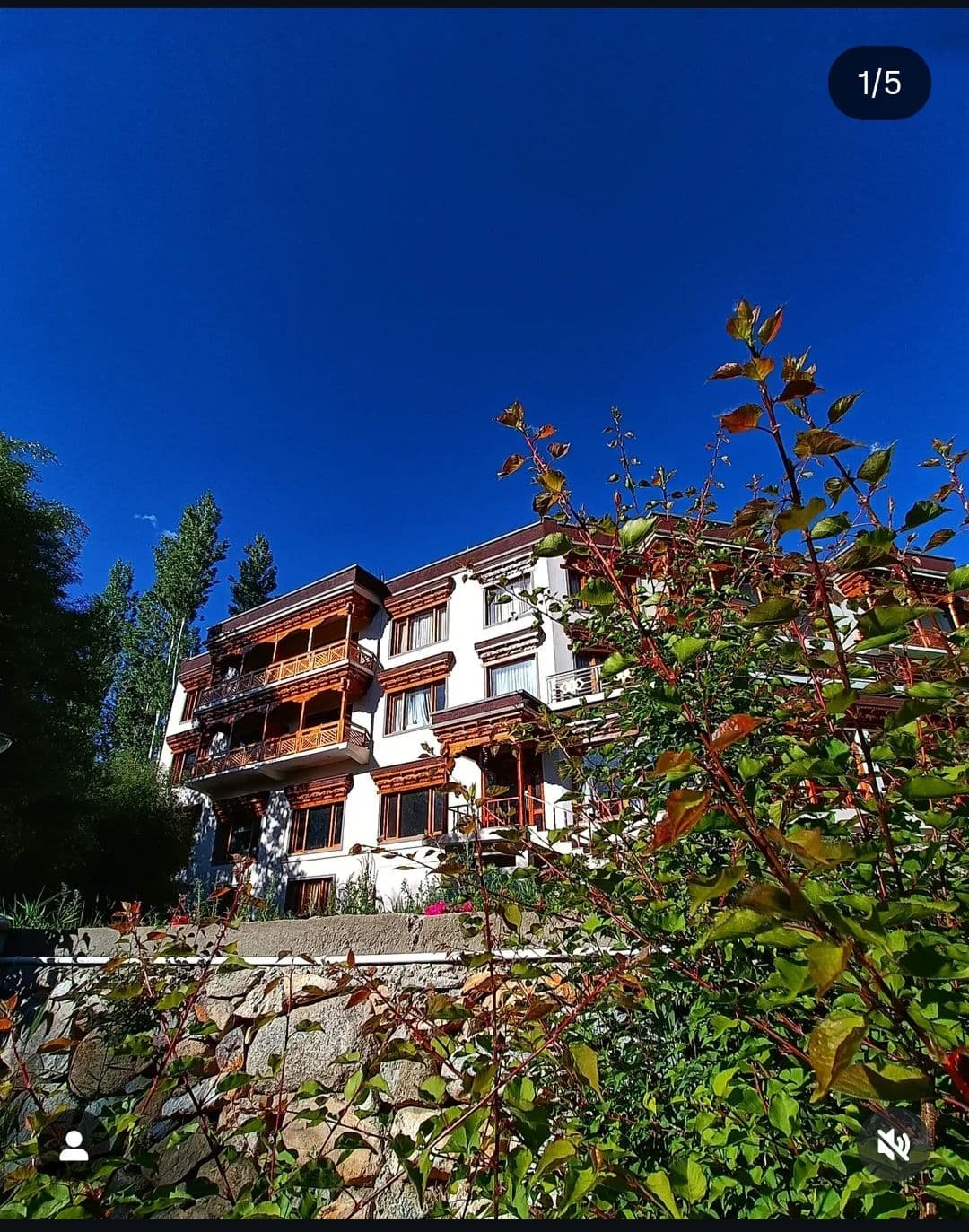 Mountain View Hotel w/ Home Meals in Leh, Ladakh 1