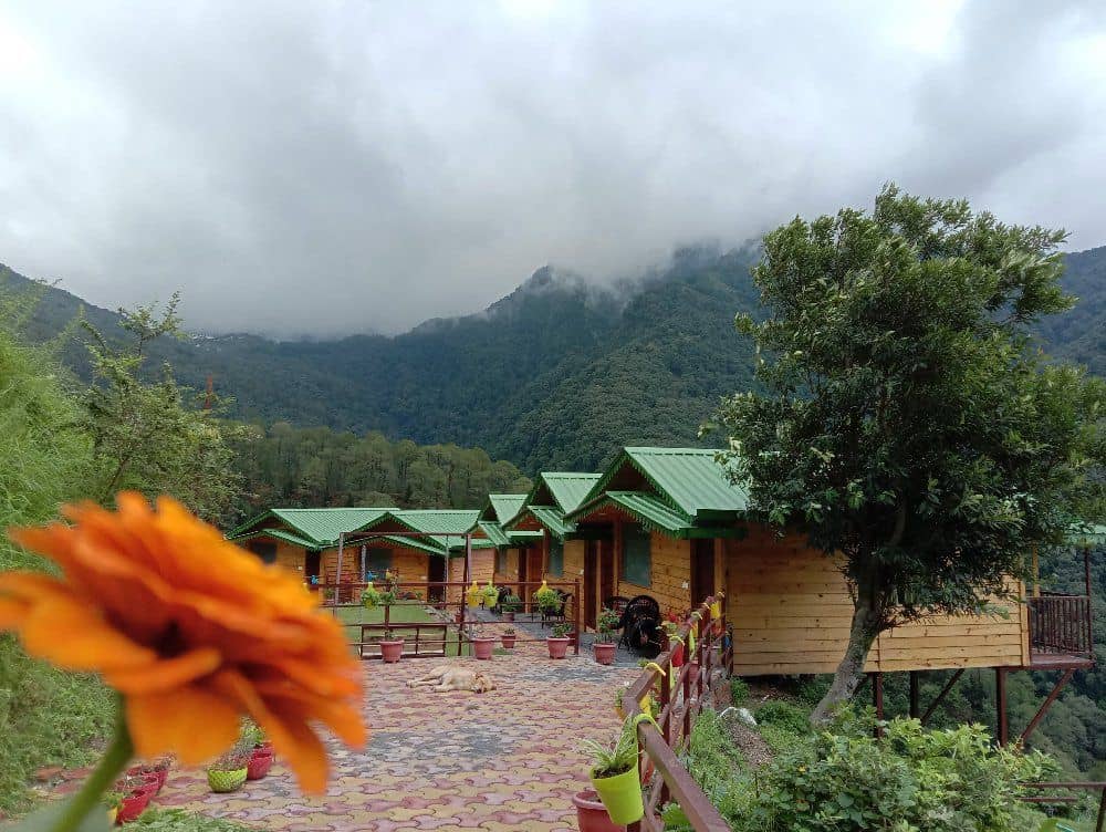 Mountain Cottages w/ Home Meals & Views - Bagar Talla, Uttarakhand photo 5