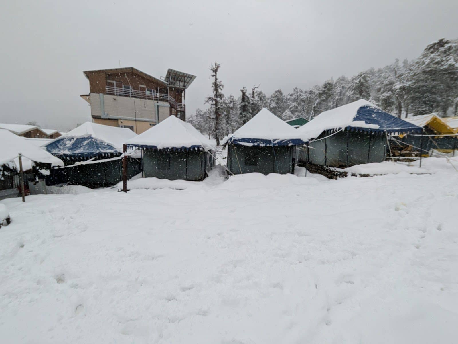 Mountain View Camp w/ All Meals, Uttarakhand - Chopta, Uttarakhand photo 4