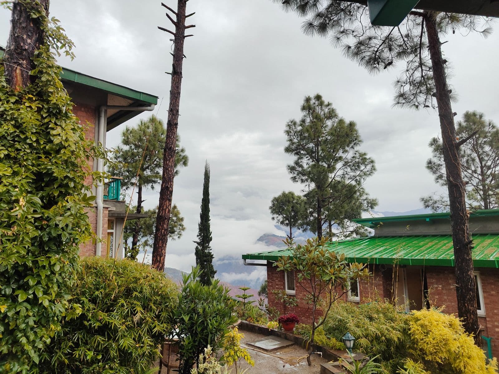 Luxury Resort in , | Boutique Family Resort | | in Jabarkhet 8