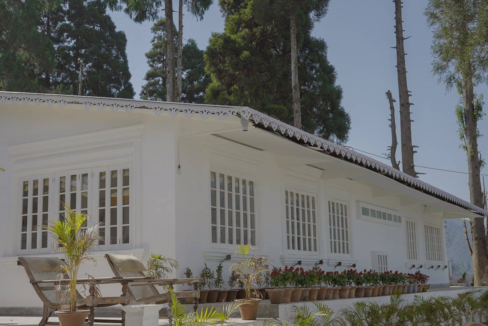 5 star 4BR Tea Estate Villa w/ delightful meals - Mim Tea Garden, Bengal photo 5