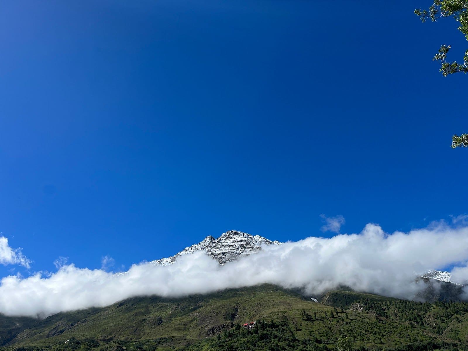 Mountain View Homestay w/ Home Meals, HP in Keylong, HP 8