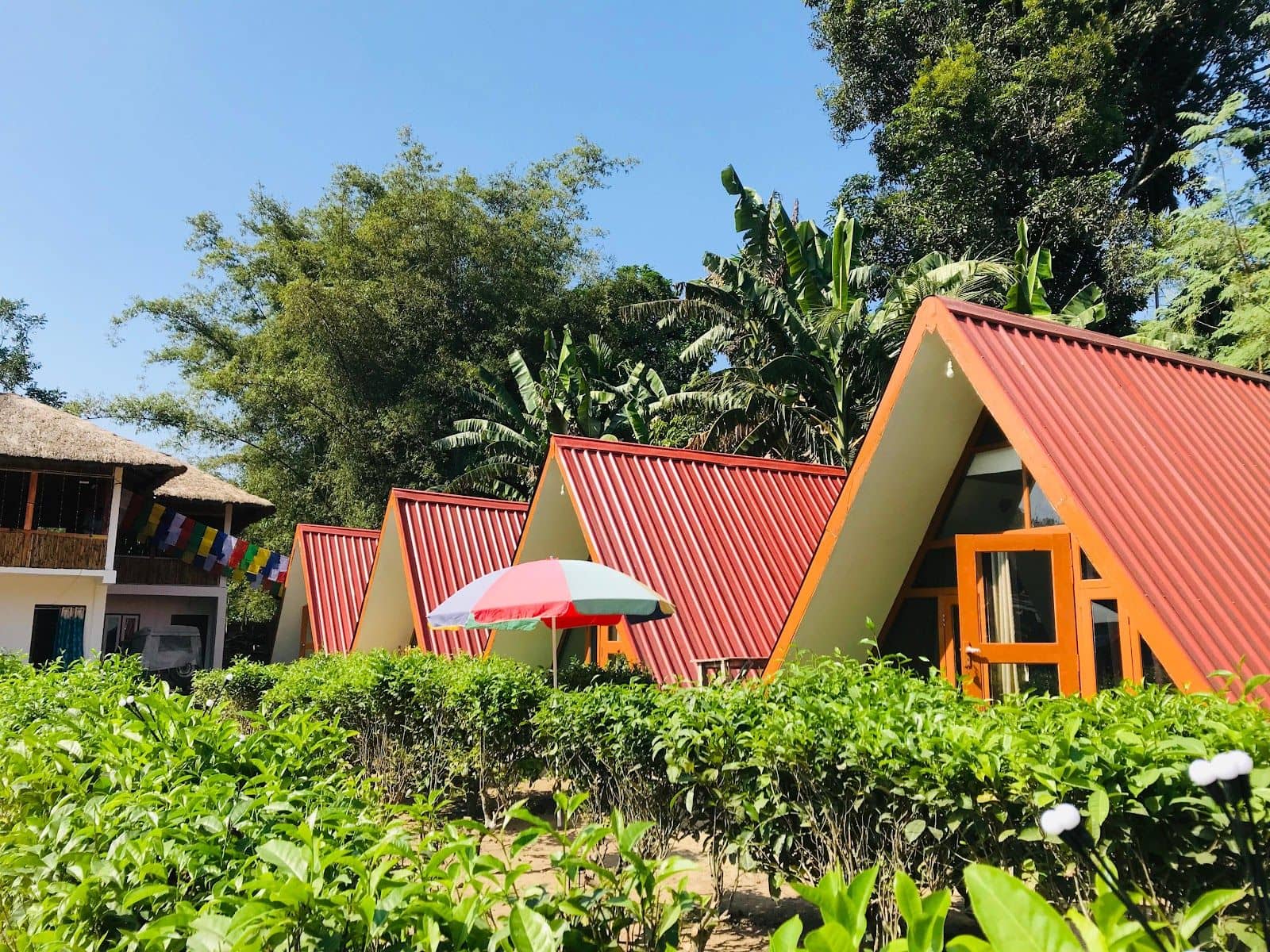 Jungle Vibes Retreat: Fresh Food & Welcoming - Kaziranga photo 4