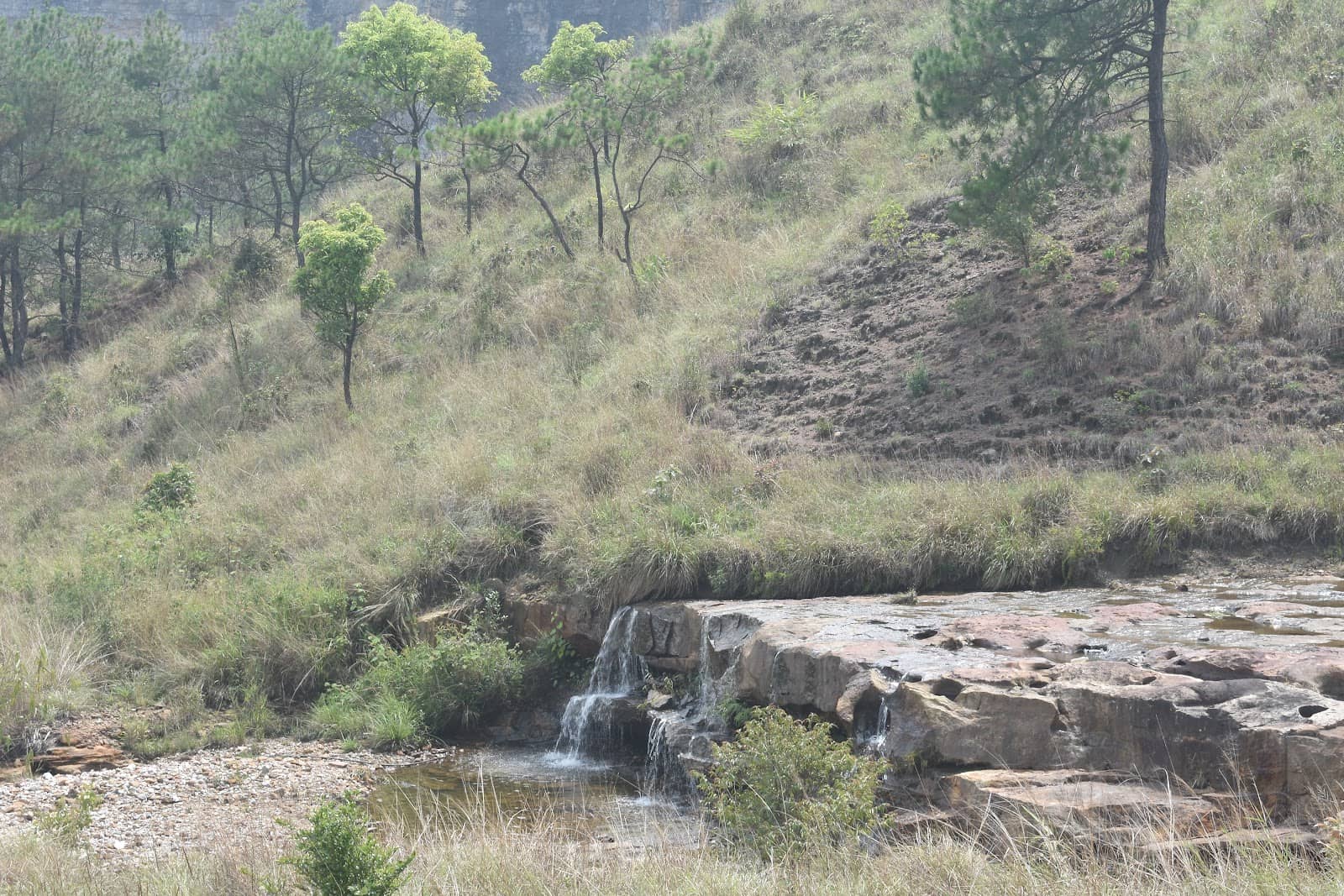 Cherrapunji's Cozy Mountain Retreat - Cherrapunji photo 5