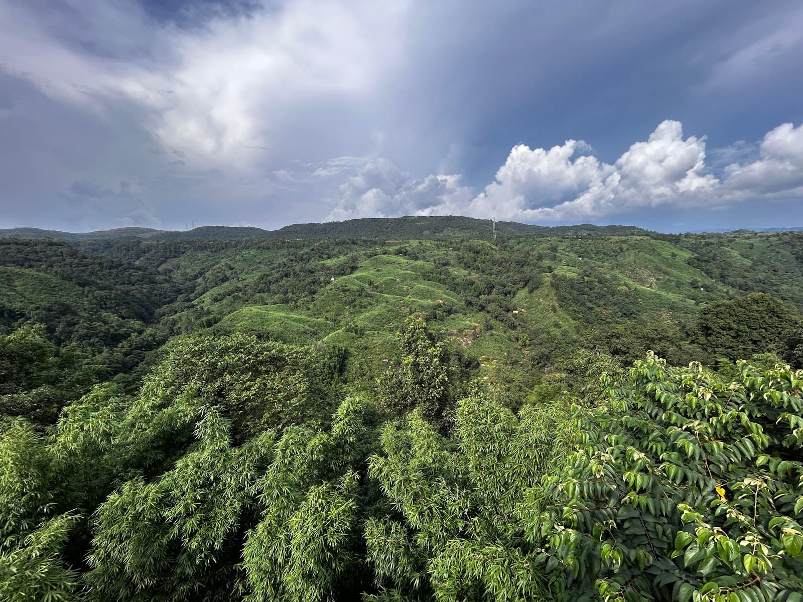 Homely Retreat Near Dawki & Mawlynnong in Dawki 5