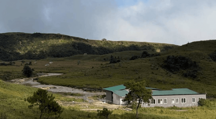 Sacred Grove Resort photo