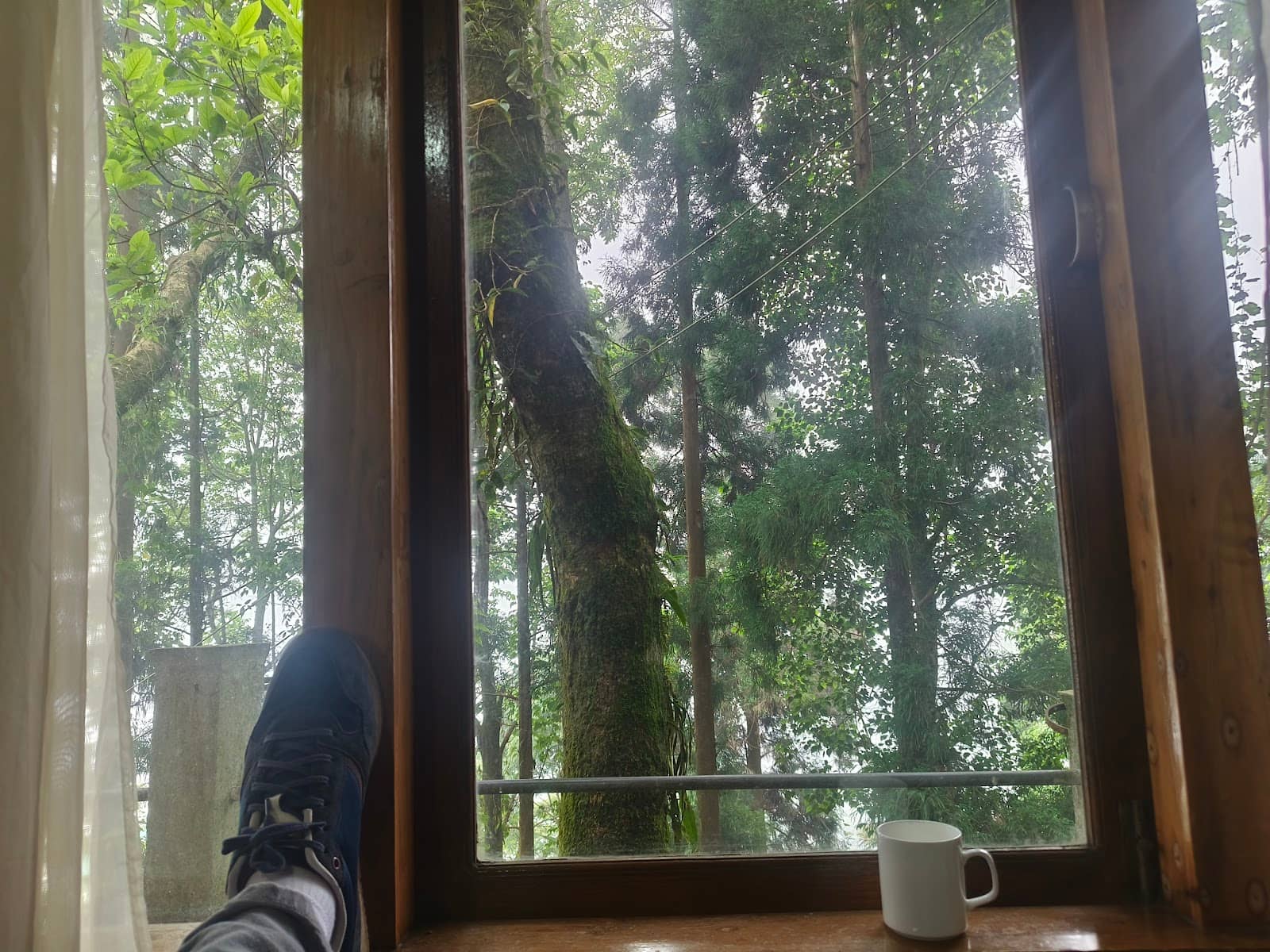 The Tranquil Sohra Escape: Trekker-Ready Home - Tyrna photo 3