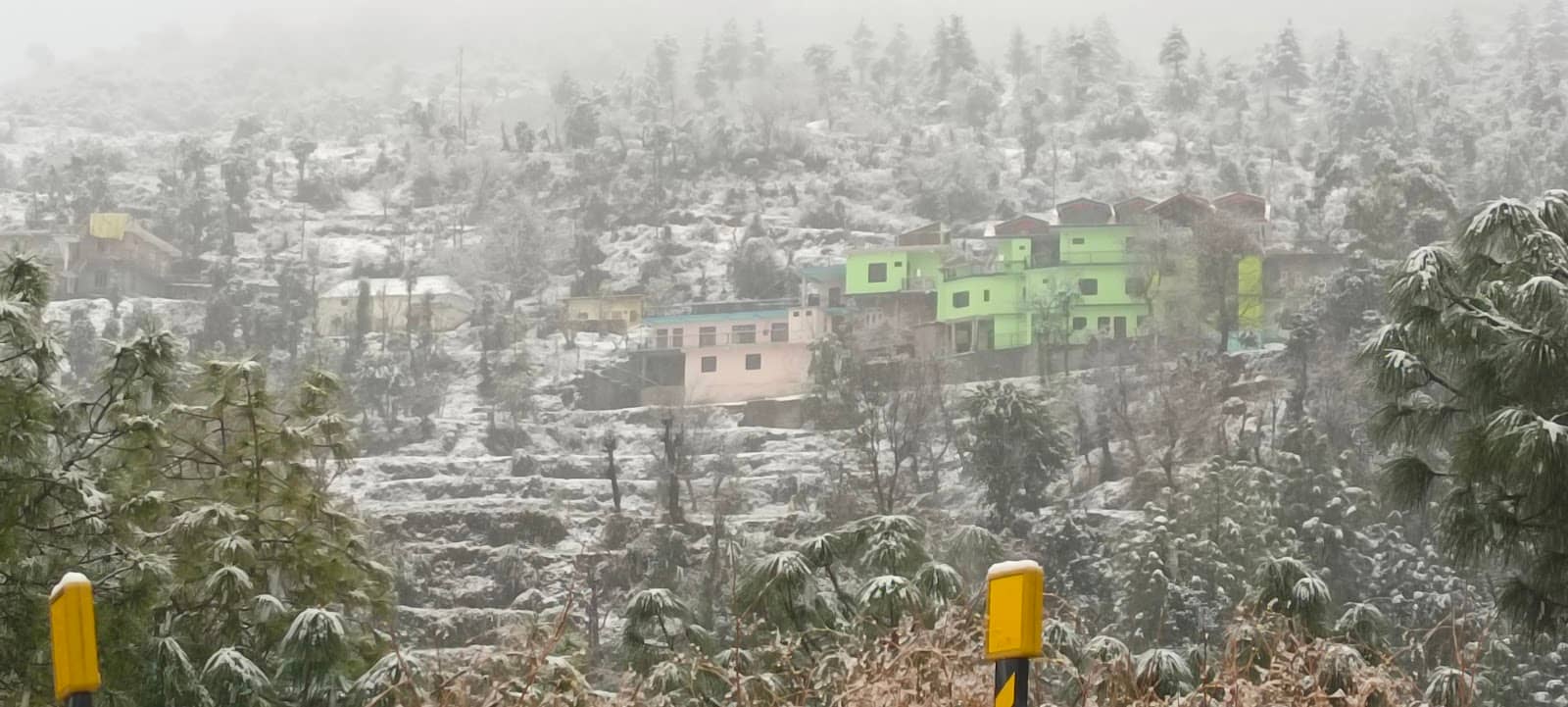 Scenic View Homestay w/ Tasty Food, HP - Namhol, HP