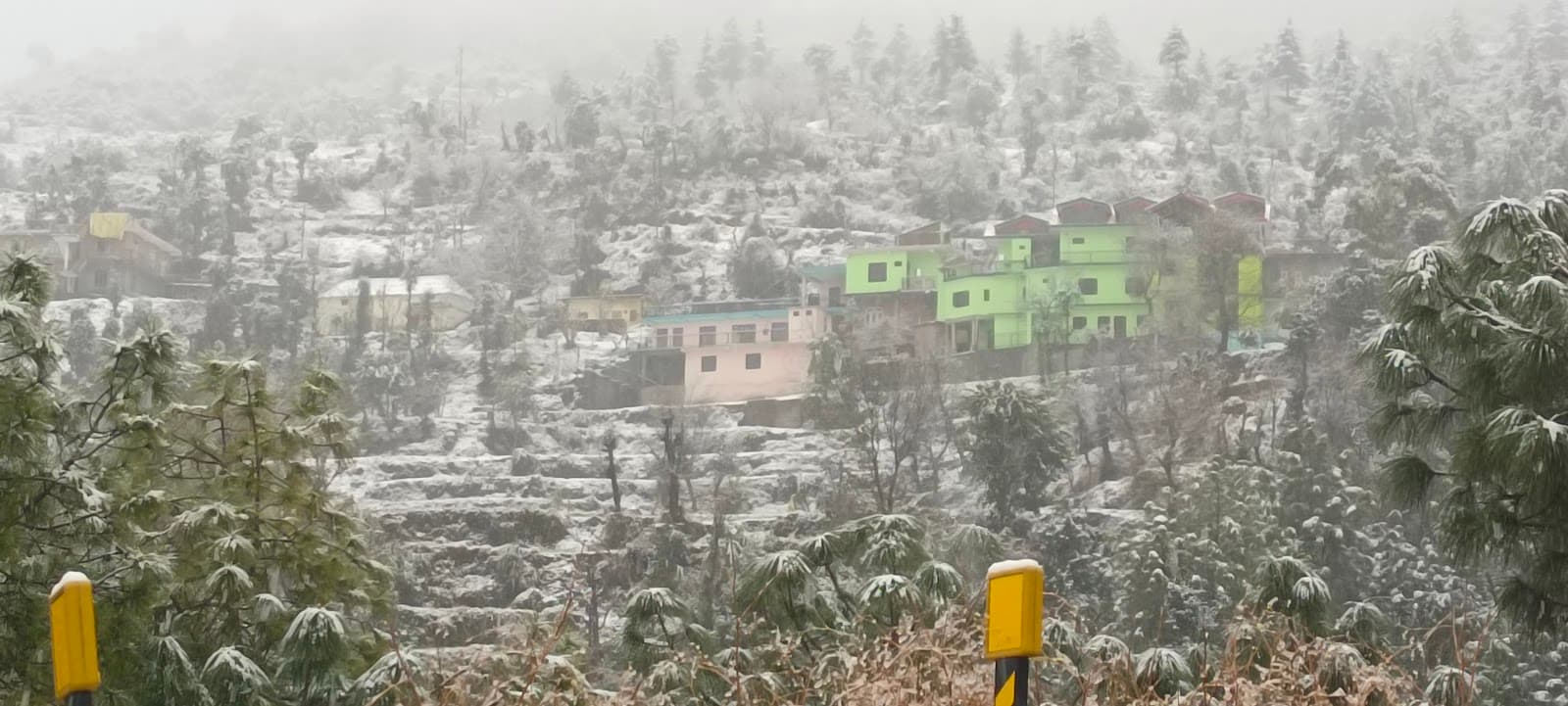 Scenic View Homestay w/ Tasty Food, HP in Namhol, HP 1